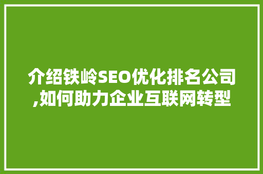 介绍铁岭SEO优化排名公司,如何助力企业互联网转型  第1张