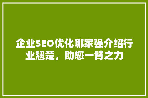 企业SEO优化哪家强介绍行业翘楚，助您一臂之力  第1张
