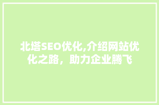 北塔SEO优化,介绍网站优化之路，助力企业腾飞