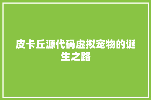 皮卡丘源代码虚拟宠物的诞生之路