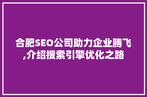 合肥SEO公司助力企业腾飞,介绍搜索引擎优化之路