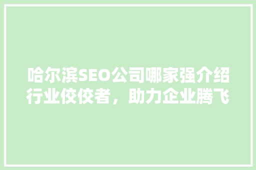 哈尔滨SEO公司哪家强介绍行业佼佼者，助力企业腾飞