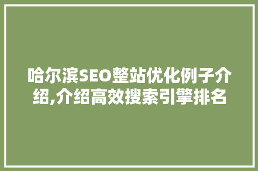 哈尔滨SEO整站优化例子介绍,介绍高效搜索引擎排名步骤