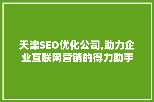 天津SEO优化公司,助力企业互联网营销的得力助手