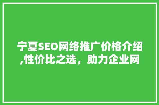 宁夏SEO网络推广价格介绍,性价比之选，助力企业网络营销腾飞
