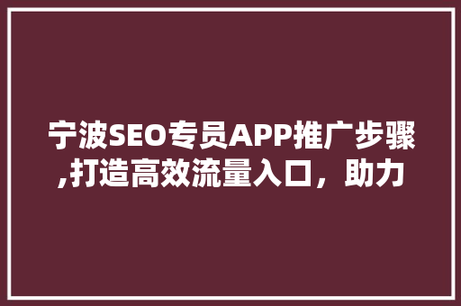 宁波SEO专员APP推广步骤,打造高效流量入口，助力企业腾飞