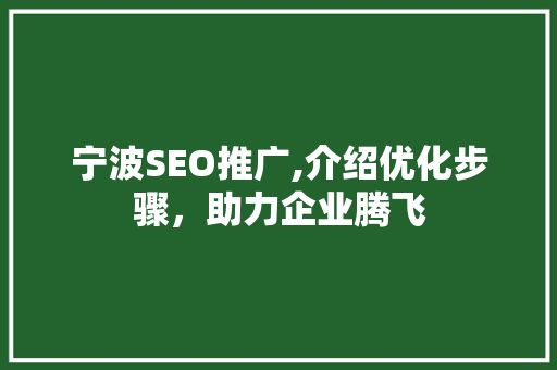 宁波SEO推广,介绍优化步骤，助力企业腾飞