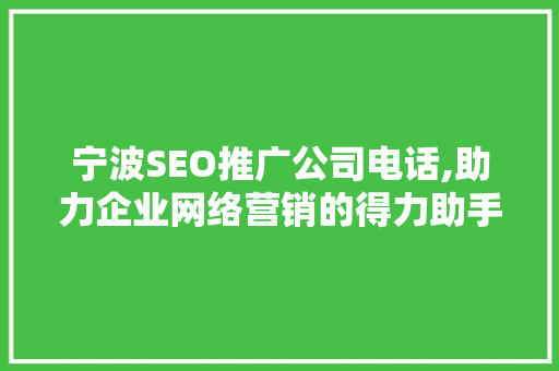 宁波SEO推广公司电话,助力企业网络营销的得力助手