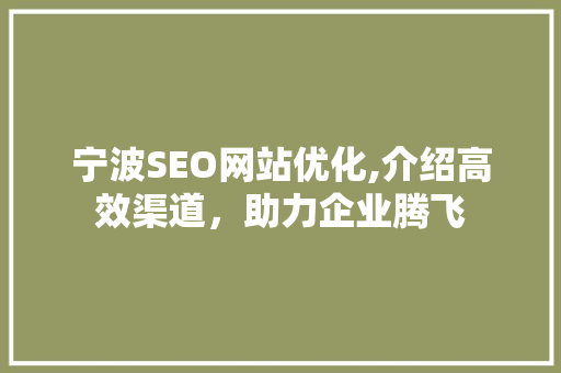 宁波SEO网站优化,介绍高效渠道，助力企业腾飞