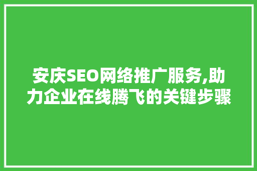 安庆SEO网络推广服务,助力企业在线腾飞的关键步骤