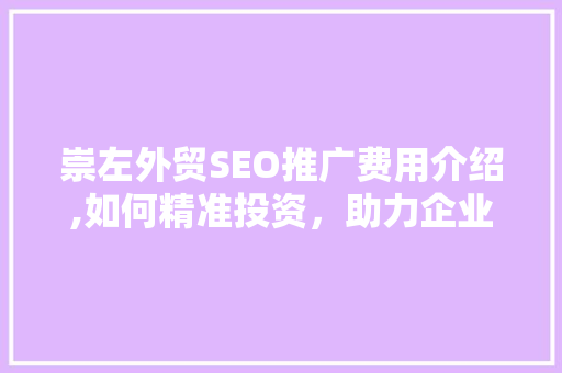 崇左外贸SEO推广费用介绍,如何精准投资，助力企业腾飞