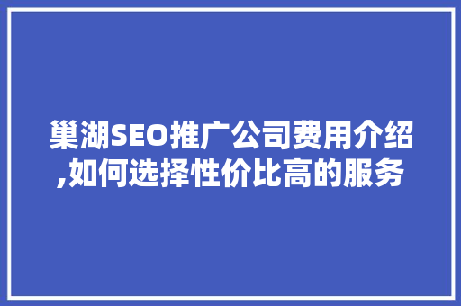 巢湖SEO推广公司费用介绍,如何选择性价比高的服务