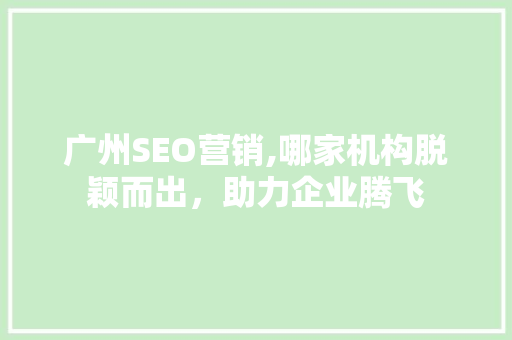 广州SEO营销,哪家机构脱颖而出，助力企业腾飞