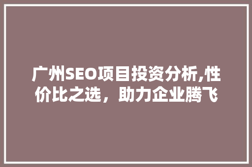 广州SEO项目投资分析,性价比之选，助力企业腾飞