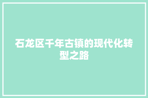 石龙区千年古镇的现代化转型之路