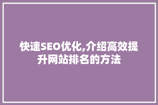 快速SEO优化,介绍高效提升网站排名的方法