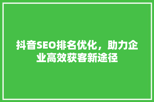 抖音SEO排名优化，助力企业高效获客新途径
