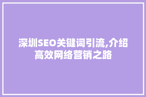 深圳SEO关键词引流,介绍高效网络营销之路  第1张
