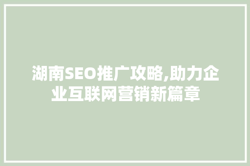 湖南SEO推广攻略,助力企业互联网营销新篇章