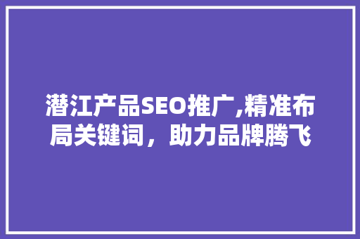 潜江产品SEO推广,精准布局关键词，助力品牌腾飞