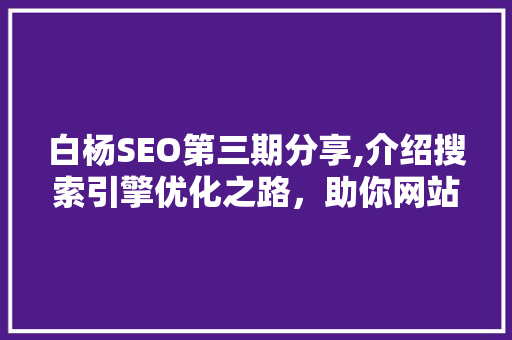 白杨SEO第三期分享,介绍搜索引擎优化之路，助你网站流量翻倍