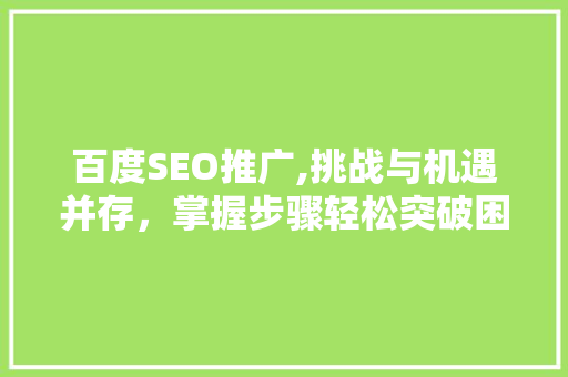 百度SEO推广,挑战与机遇并存，掌握步骤轻松突破困境