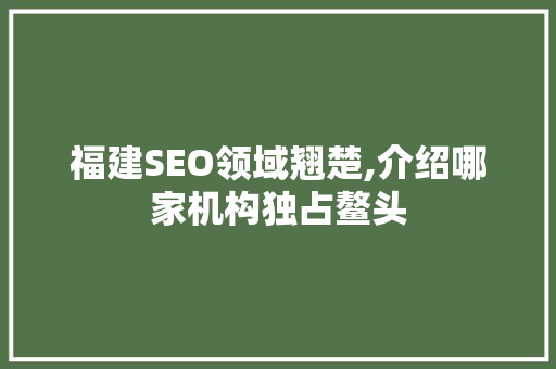 福建SEO领域翘楚,介绍哪家机构独占鳌头