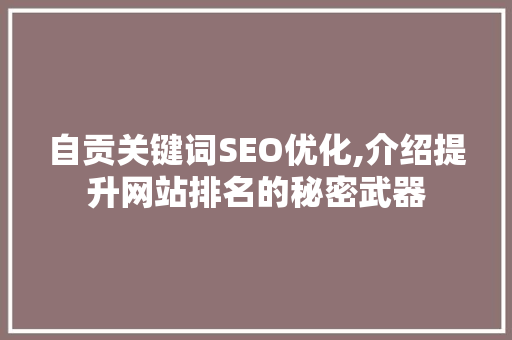 自贡关键词SEO优化,介绍提升网站排名的秘密武器