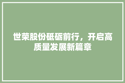 世荣股份砥砺前行，开启高质量发展新篇章