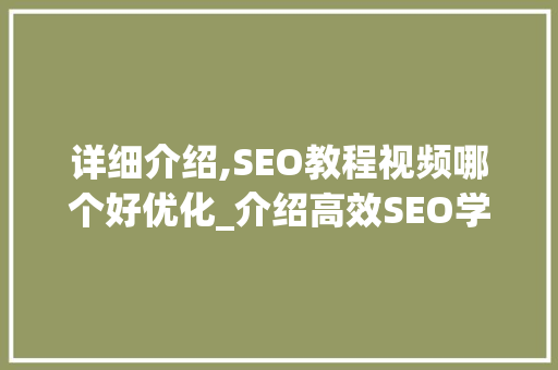详细介绍,SEO教程视频哪个好优化_介绍高效SEO学习之路