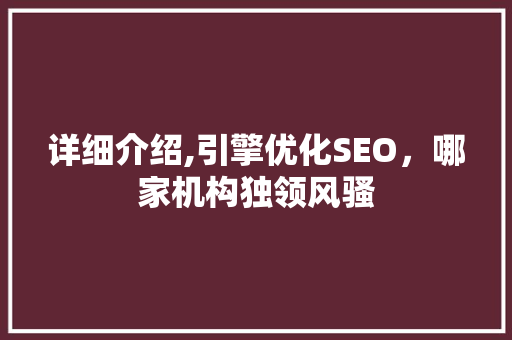 详细介绍,引擎优化SEO，哪家机构独领风骚