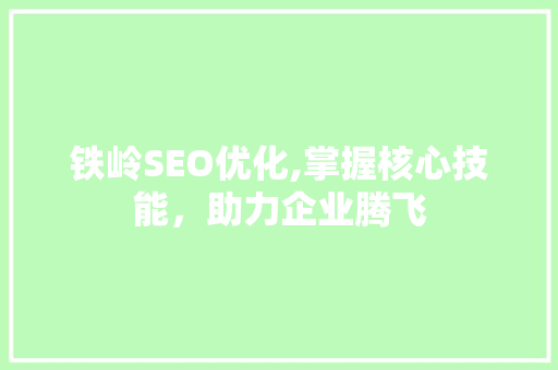 铁岭SEO优化,掌握核心技能，助力企业腾飞