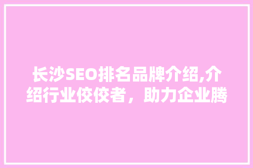 长沙SEO排名品牌介绍,介绍行业佼佼者，助力企业腾飞