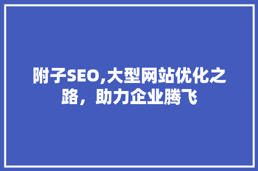 附子SEO,大型网站优化之路，助力企业腾飞