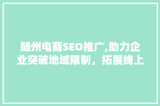 随州电商SEO推广,助力企业突破地域限制，拓展线上市场
