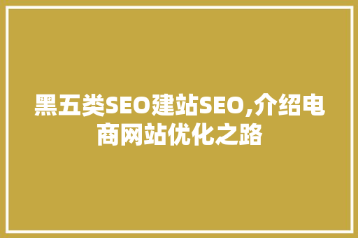 黑五类SEO建站SEO,介绍电商网站优化之路
