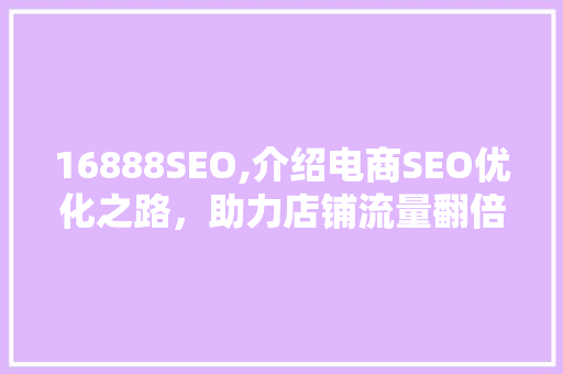 16888SEO,介绍电商SEO优化之路，助力店铺流量翻倍