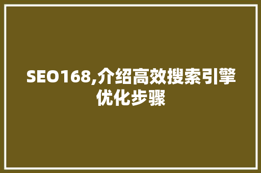 SEO168,介绍高效搜索引擎优化步骤  第1张