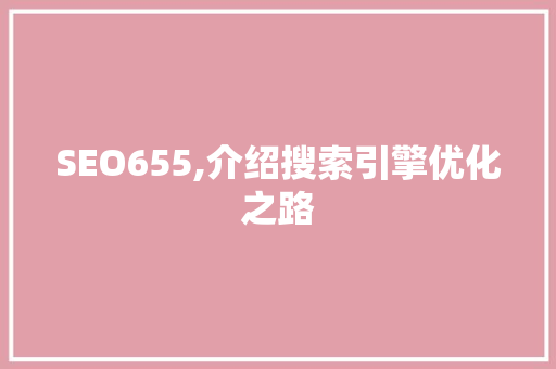 SEO655,介绍搜索引擎优化之路