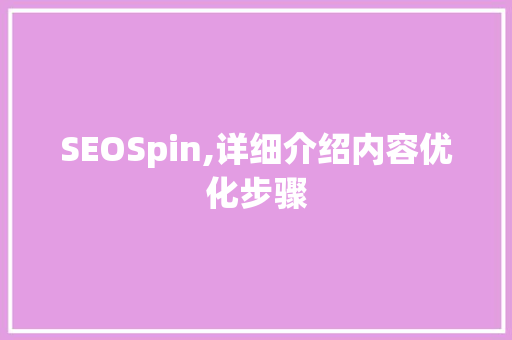 SEOSpin,详细介绍内容优化步骤