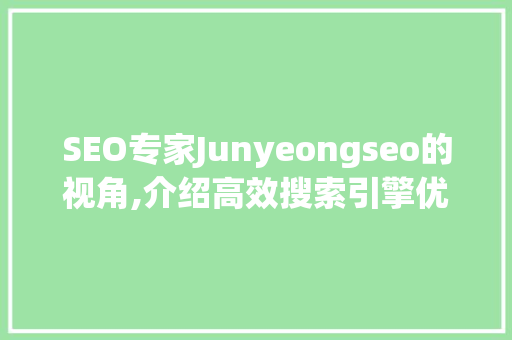 SEO专家Junyeongseo的视角,介绍高效搜索引擎优化步骤