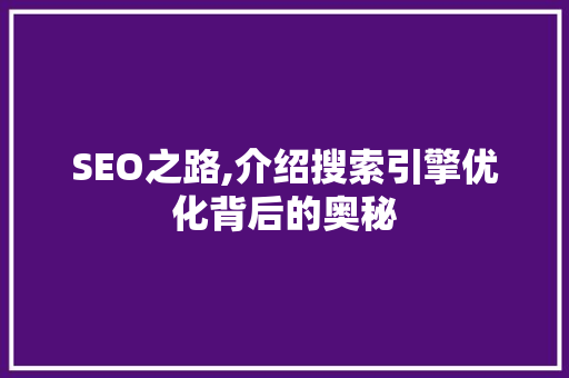 SEO之路,介绍搜索引擎优化背后的奥秘