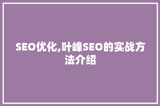 SEO优化,叶峰SEO的实战方法介绍