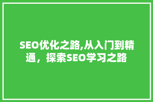 SEO优化之路,从入门到精通，探索SEO学习之路