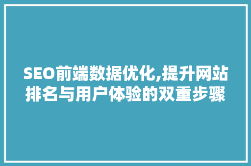 SEO前端数据优化,提升网站排名与用户体验的双重步骤