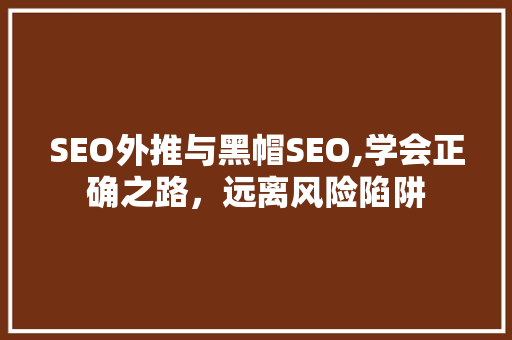 SEO外推与黑帽SEO,学会正确之路，远离风险陷阱