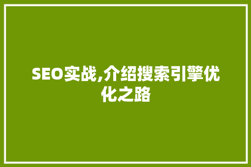 SEO实战,介绍搜索引擎优化之路
