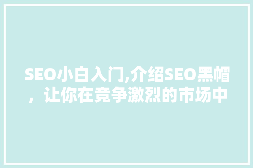 SEO小白入门,介绍SEO黑帽，让你在竞争激烈的市场中立于不败之地