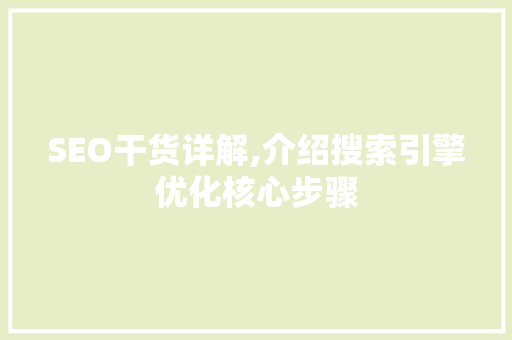 SEO干货详解,介绍搜索引擎优化核心步骤