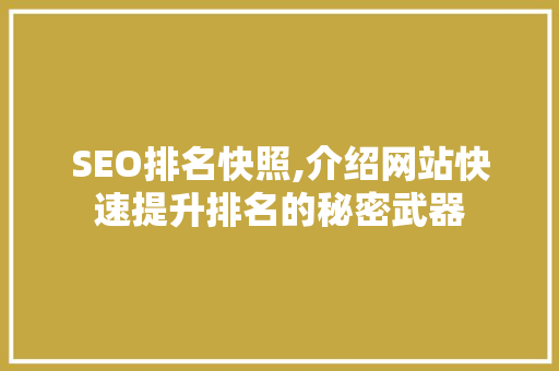 SEO排名快照,介绍网站快速提升排名的秘密武器